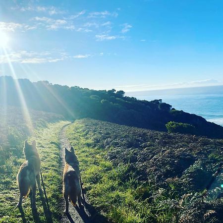 Great Ocean Road Wellness And Nature Stay Apollo Bay Exteriér fotografie