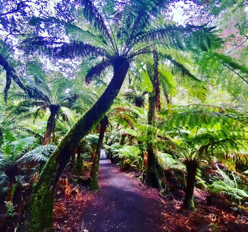 Great Ocean Road Wellness And Nature Stay Apollo Bay Exteriér fotografie