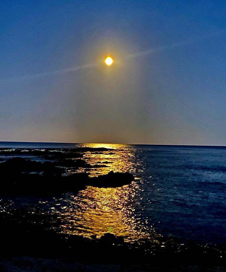 Great Ocean Road Wellness And Nature Stay Apollo Bay Exteriér fotografie
