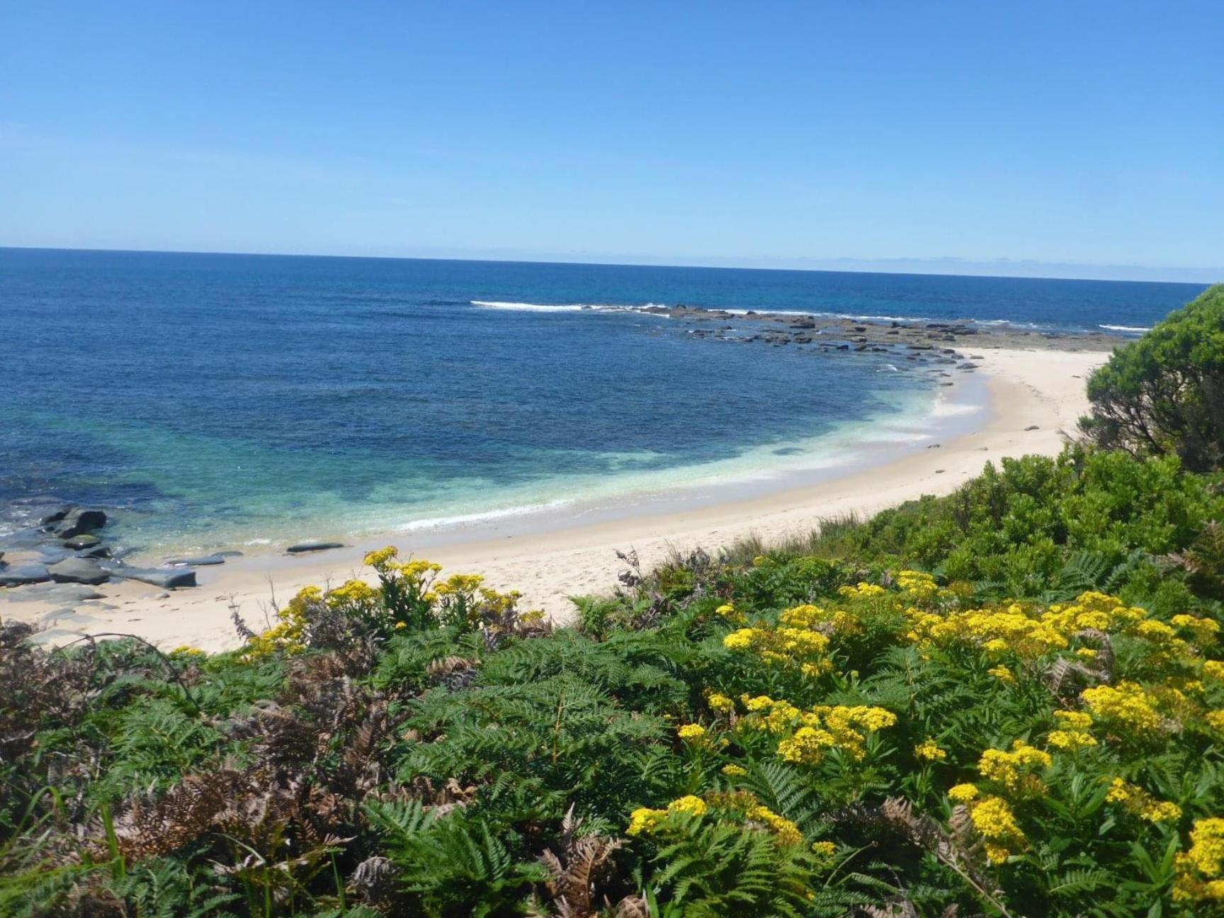 Great Ocean Road Wellness And Nature Stay Apollo Bay Exteriér fotografie