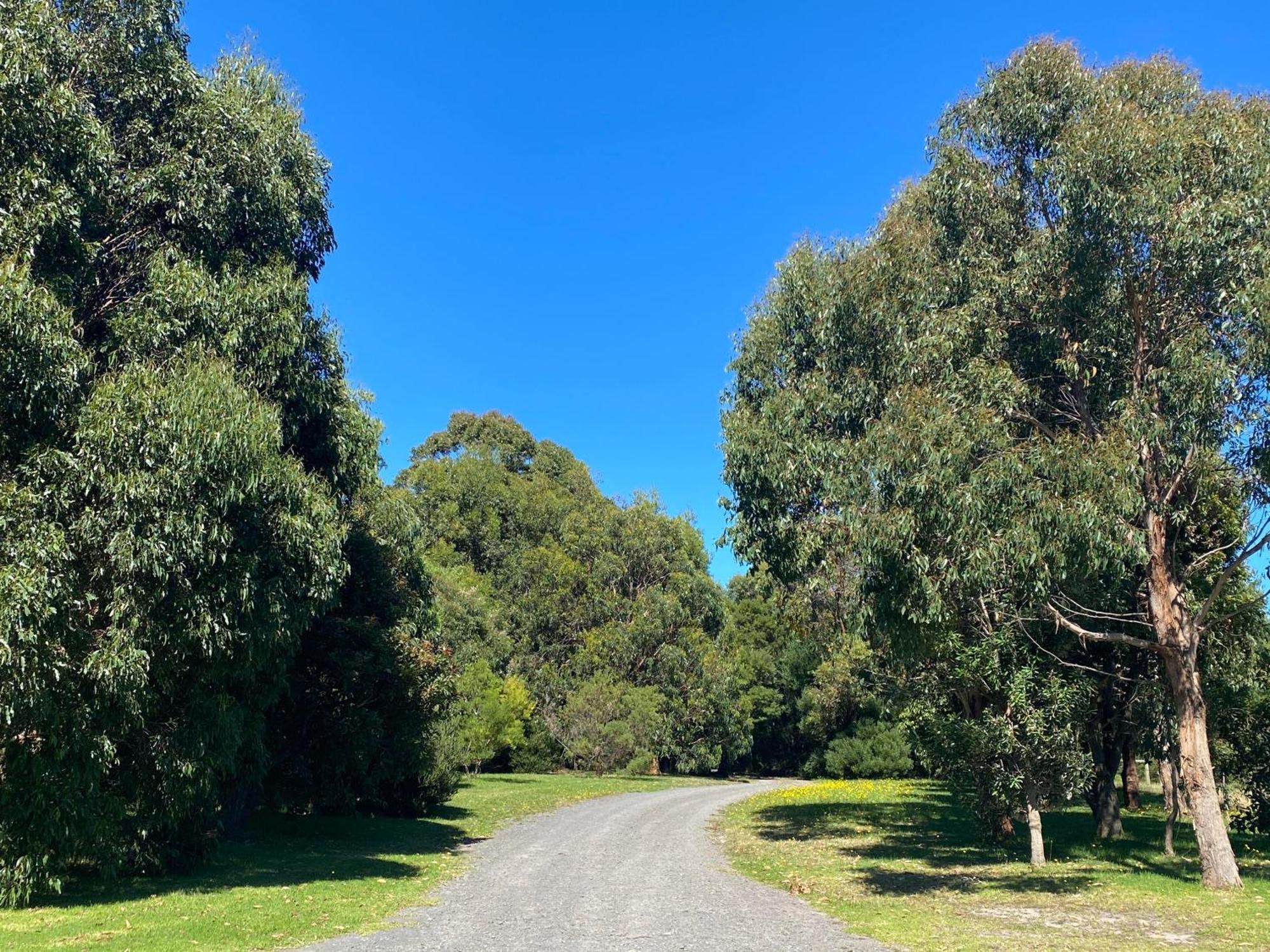 Great Ocean Road Wellness And Nature Stay Apollo Bay Exteriér fotografie