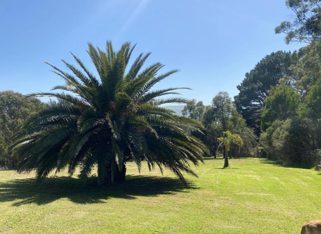 Great Ocean Road Wellness And Nature Stay Apollo Bay Exteriér fotografie